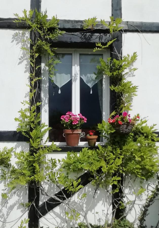 Villa The Old Cider Press Carnoet Exterior foto